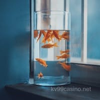 Avatar người dùng